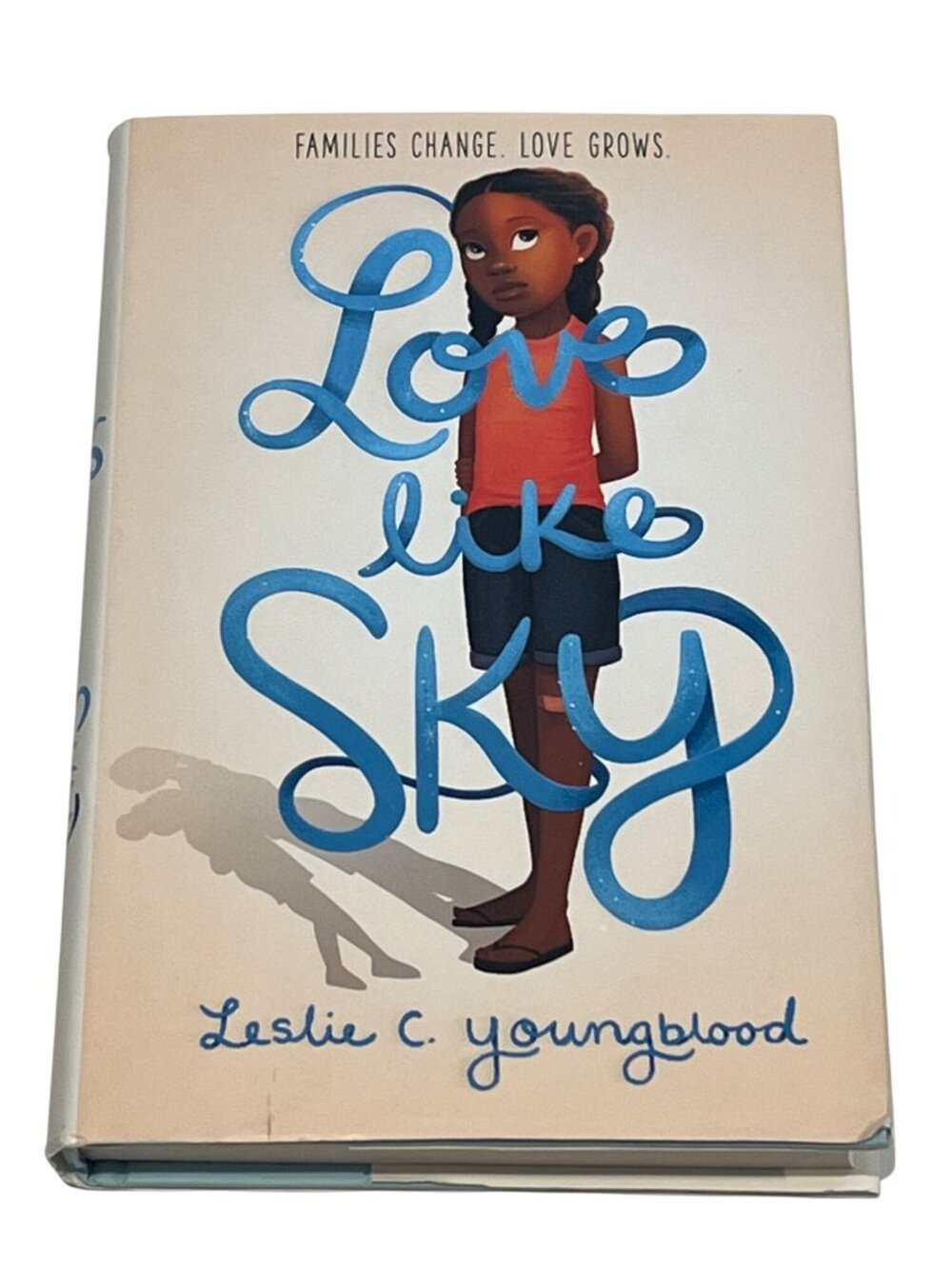 Love Like Sky Leslie C Youngblood Hardcover Middle Grade Family Fiction New